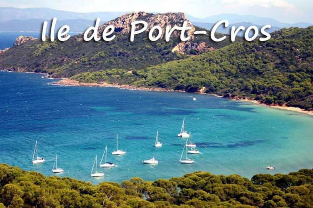 Studio Port De Hyeres Proche Des Plages Ngoại thất bức ảnh